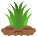 grass