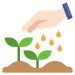 seeds